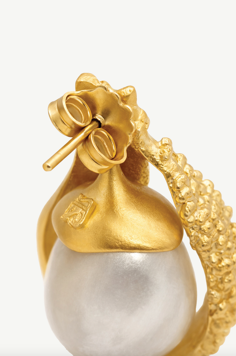 Interchangeable Loop Hoops