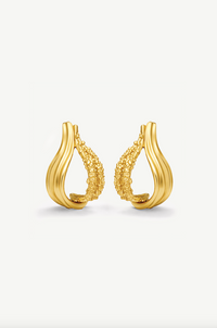 Interchangeable Loop Hoops