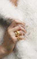 Cassandra Rings Set