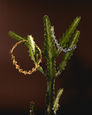 Interchangeable Dos Amores Necklace