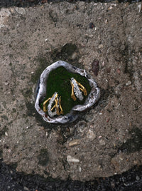 Little Harmonia Hoops