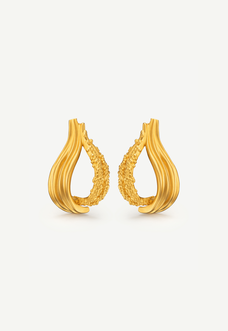 Interchangeable Loop Hoops