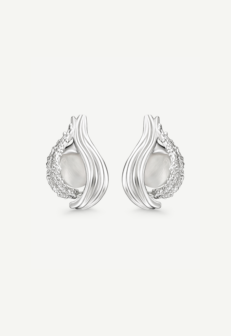 Interchangeable Loop Hoops