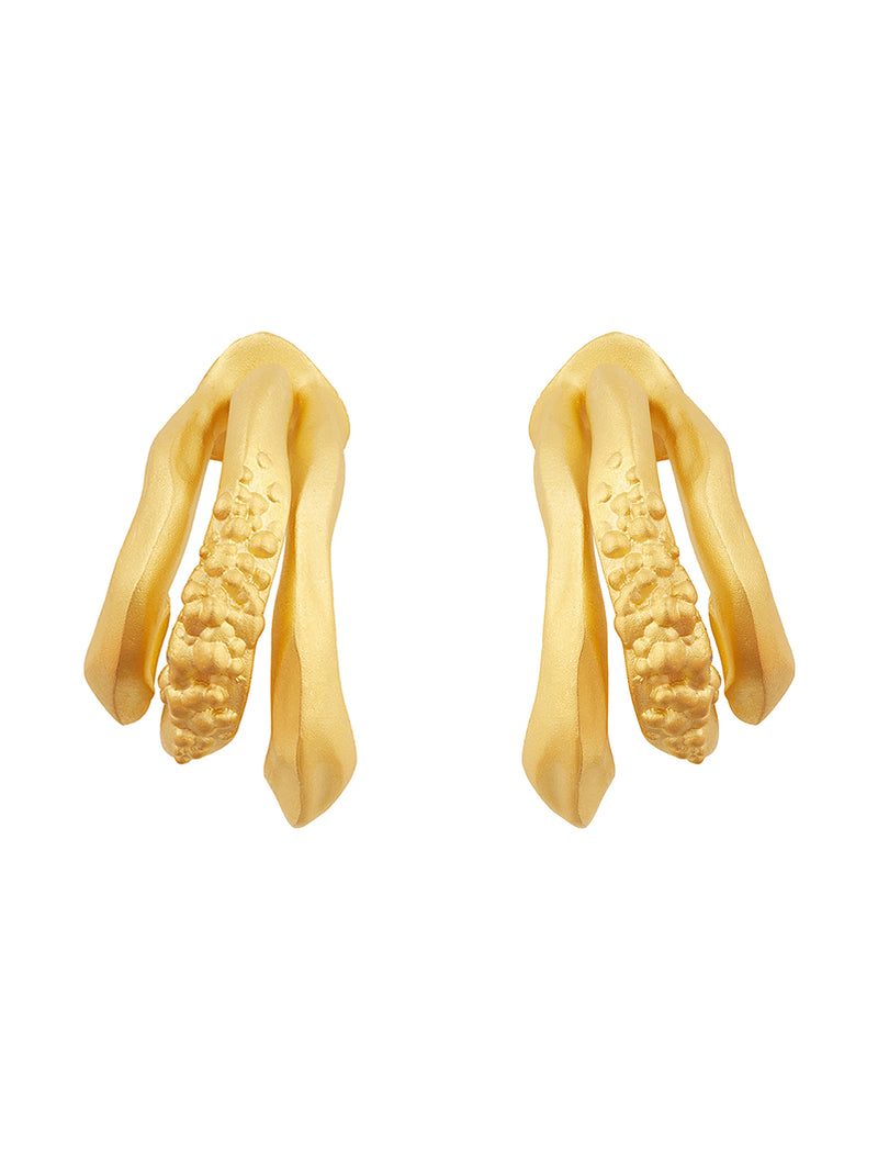 Multi-Way Candied Hoop Box