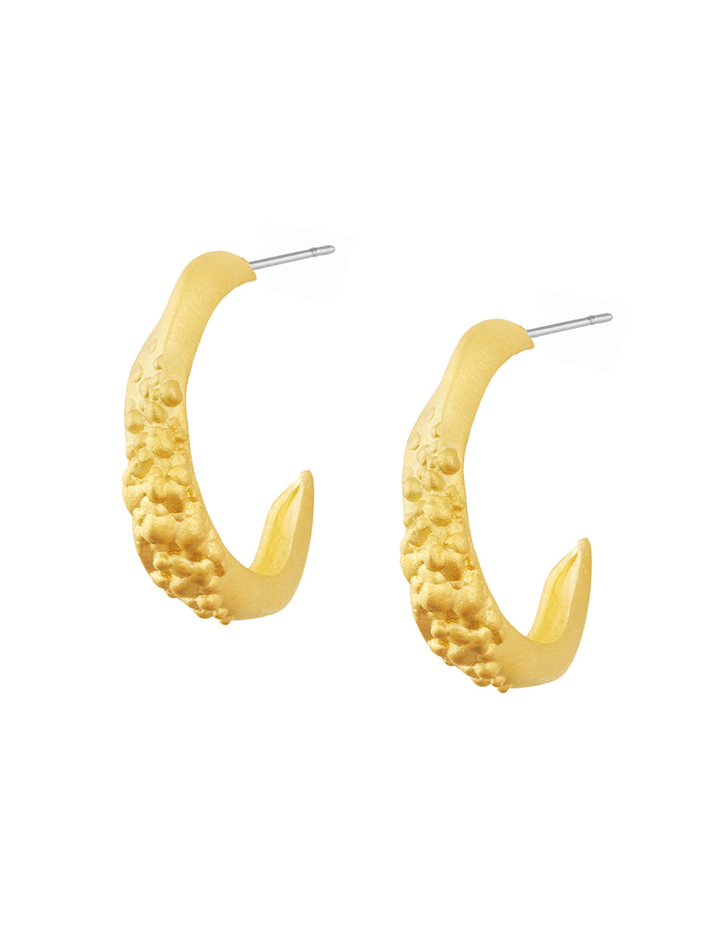 Multi-Way Candied Hoop Box