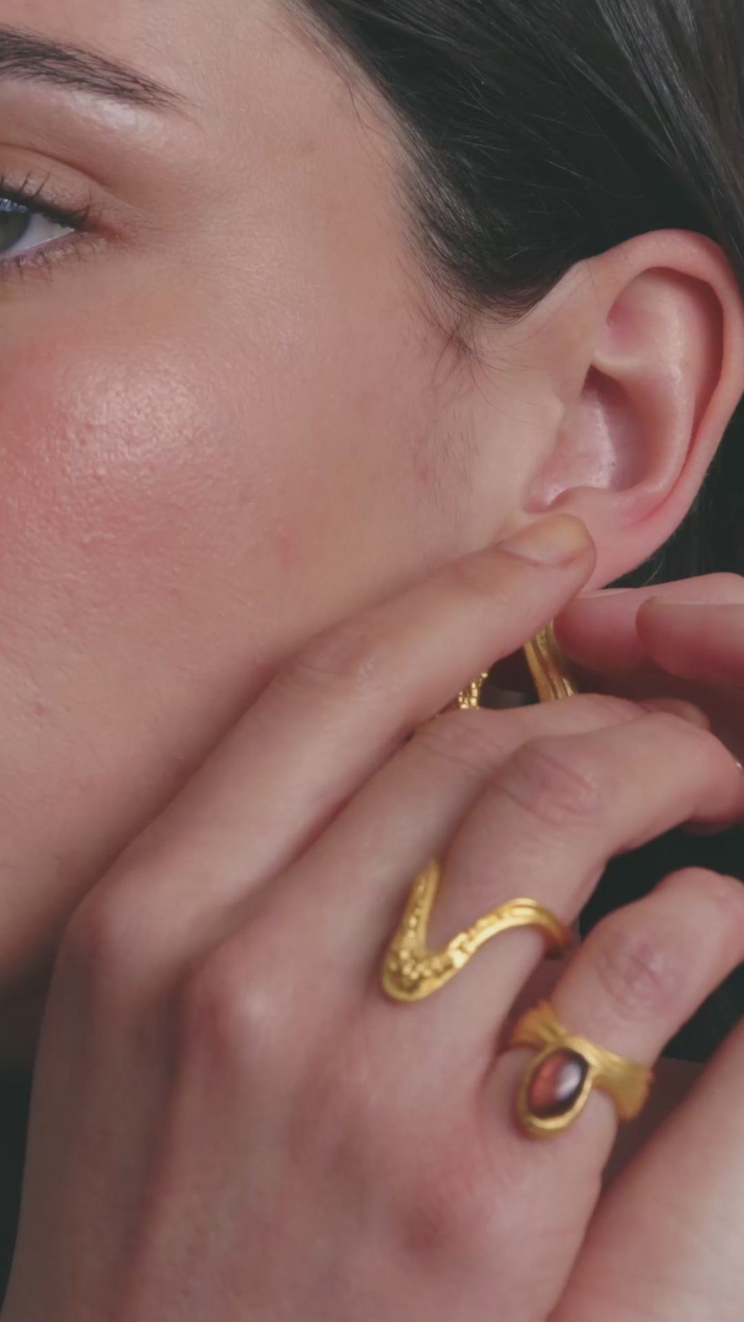 Interchangeable Loop Hoops